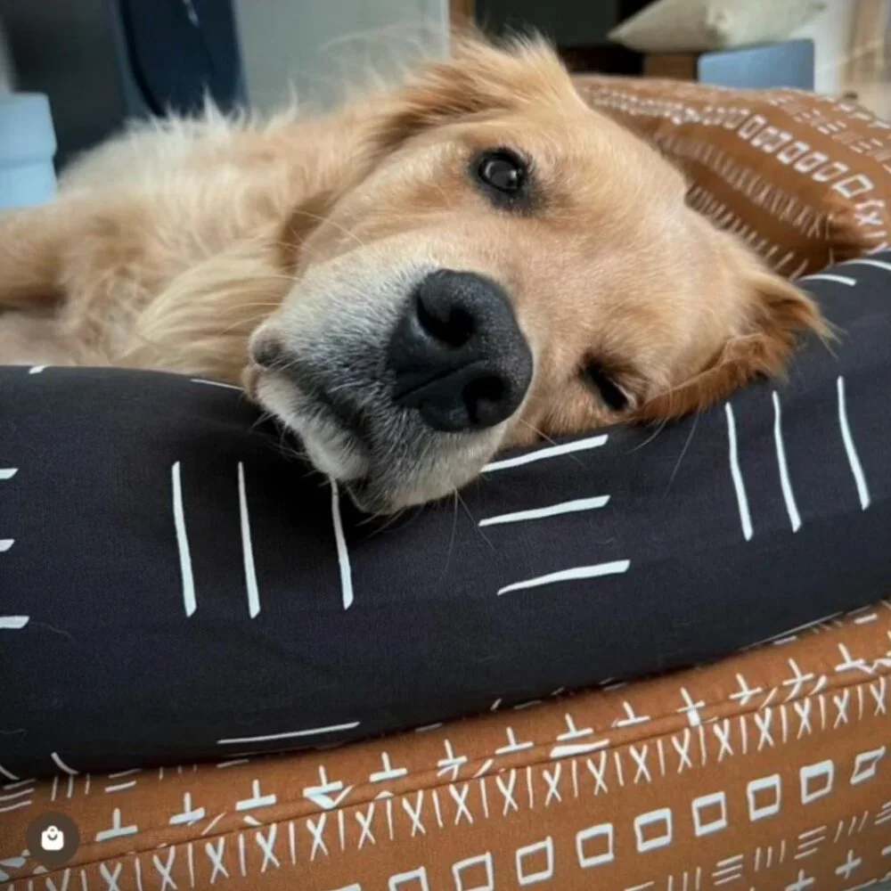 Molly Mutt dog dreams pet bolster pillow pack - small 22”x27”x 5”